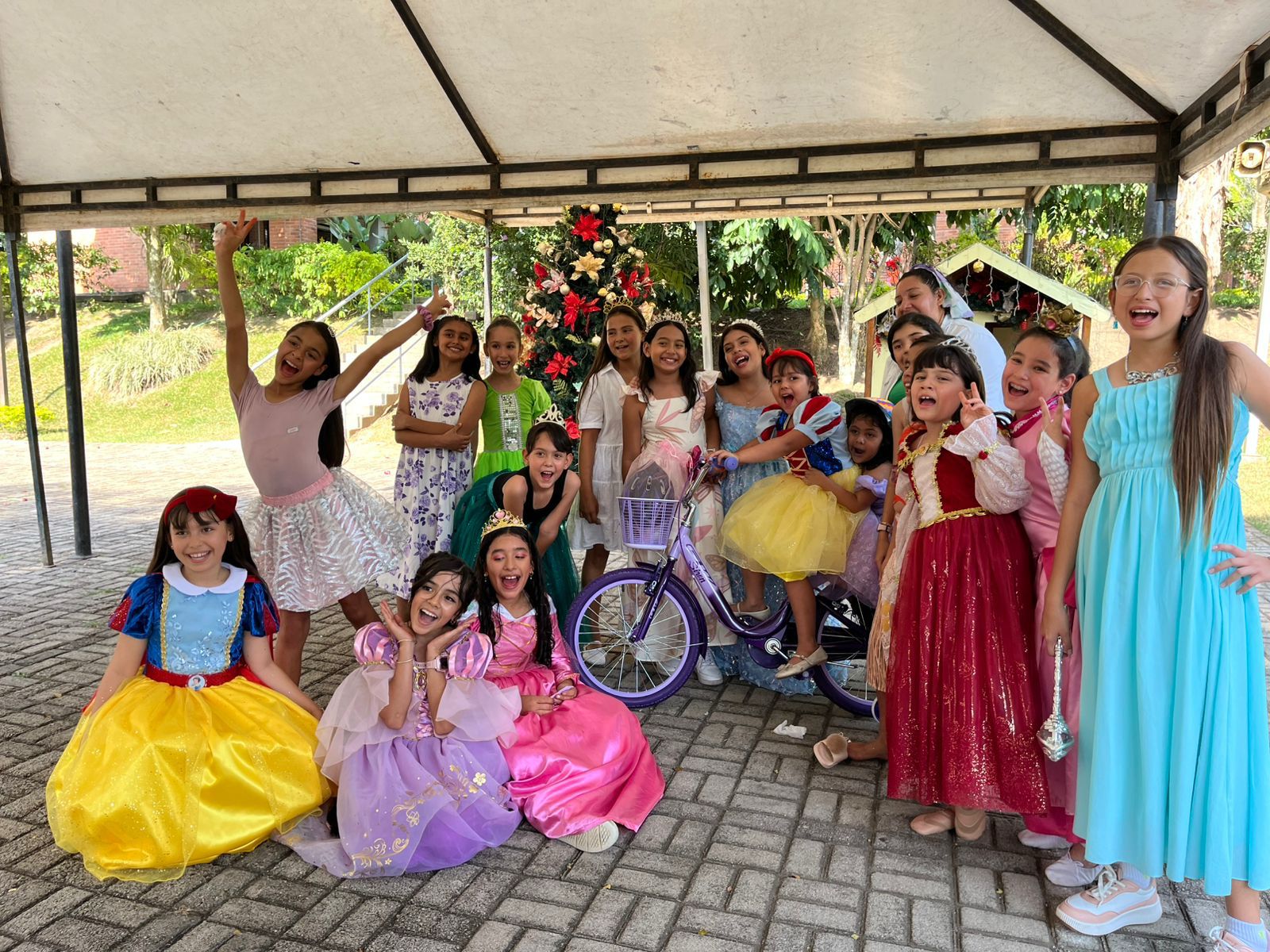 3 Servicio social