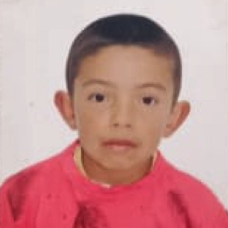 Ángel David